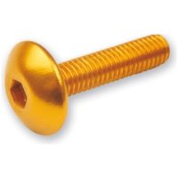 screw allen M6x20 Gold V PARTS