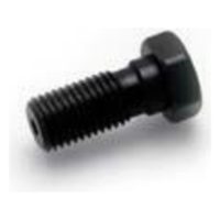 SINGLE SCREW M10X 1.25 BLACK