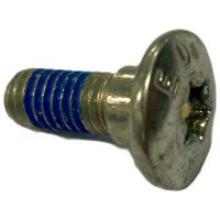 Skruv Bromskiva Mrt Din 6921 6X16 8,8 RIEJU