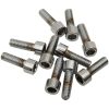 Skruvsæt Replacement Socket-Head Krom Poleret Sølv DRAG SPECIALTIES – miniature 2