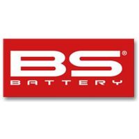 Small Sticker - 50 pcs BS Battery