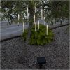 Solcelle-lyskæde Bubbly Light-chain Transparent Star Trading – miniature 5