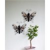 Solcelledekoration Butterfly Sort Star Trading – miniature 7
