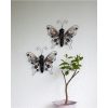 Solcelledekoration Butterfly Sort Star Trading – miniature 5
