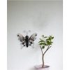 Solcelledekoration Butterfly Sort Star Trading – miniature 5