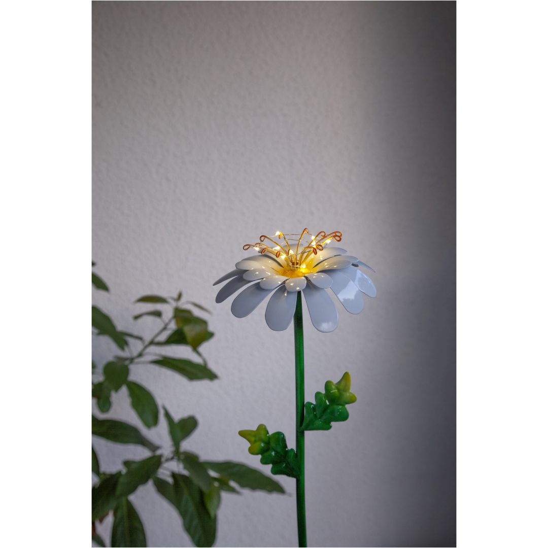 Solcelledekoration Daisy Hvid Star Trading – billede 10