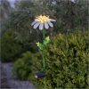 Solcelledekoration Daisy Hvid Star Trading – miniature 9