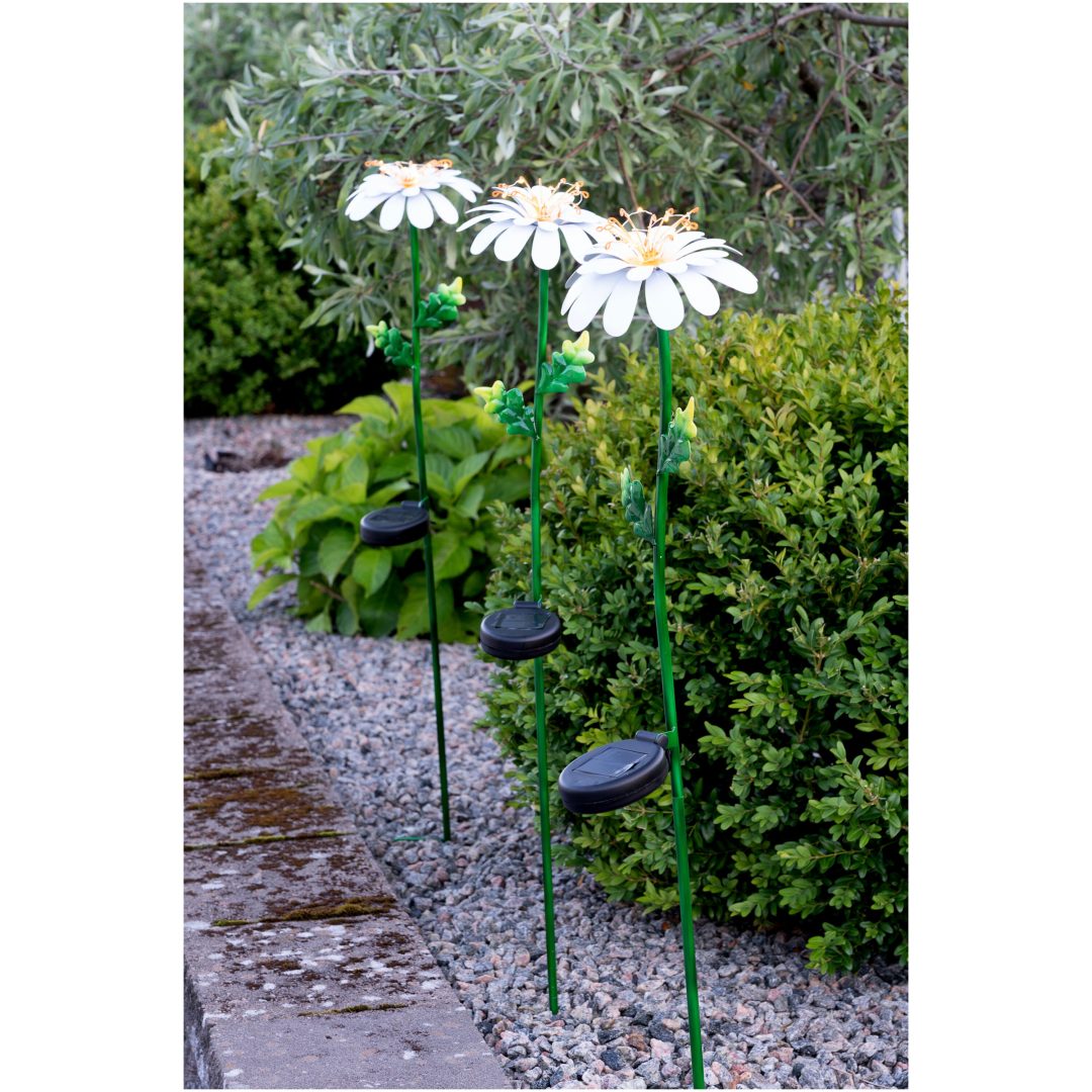 Solcelledekoration Daisy Hvid Star Trading – billede 4