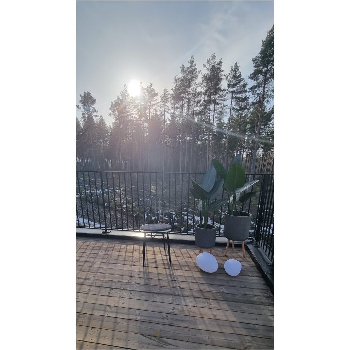 Solcelledekoration Globy Hvid Star Trading – billede 15