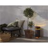 Solcelledekoration Marron STAR TRADING – miniature 7