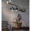 Solcellelyskæde Globe Shade STAR TRADING – miniature 4