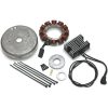 Spændingsregulator Standard Sort CYCLE ELECTRIC INC REG.FL/FX 81-88 74516-86 – miniature 2