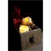 Star Trading LED Bloklys 2-pak May Hvid – miniature 8