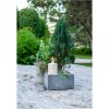 Star Trading LED Lys Paula Beige – miniature 6