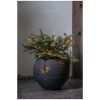 Star Trading Lysdekoration Dew Drop Flower Sort – miniature 3