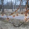 Star Trading Lysgardin Flower Curtain Sort – miniature 6