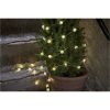 Star Trading Lysslange Berry Transparent – miniature 4