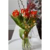 Star Trading Lysslinge Dew Drop Rösa – miniature 4
