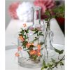 Star Trading Lysslinge Dew Drop Rösa – miniature 2