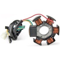 Stator, Ducati-modell TNT