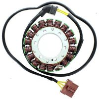 Stator ESG 999 Aprilia RSV R 1000/Factory (04-09)/ Electrosport