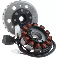 Stator Generator Komplett