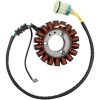 Stator Ricks Motorsport Stator – miniature 6