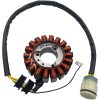 Stator Ricks Motorsport Stator – miniature 4