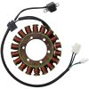 Stator Ricks Motorsport Stator – miniature 3