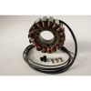 Stator Standard RICKS MOTORSPORT OEM – miniature 1