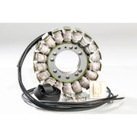 Stator Standard RICKS MOTORSPORT