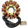 Stator Standard RICKS MOTORSPORT Stator – miniature 1
