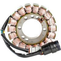 Stator Standard RICKS MOTORSPORT