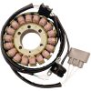 Stator Standard RICKS MOTORSPORT Stator – miniature 1