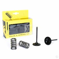 Steel Intake Valve/Spring Kit CRF450R 09-12 Prox