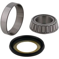 Steering Bearing Kit with Seal All Balls