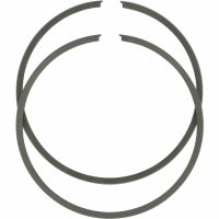 Stempelringe Platinum WSM