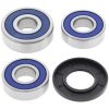 Styrlejer Racing ALL BALLS – miniature 1