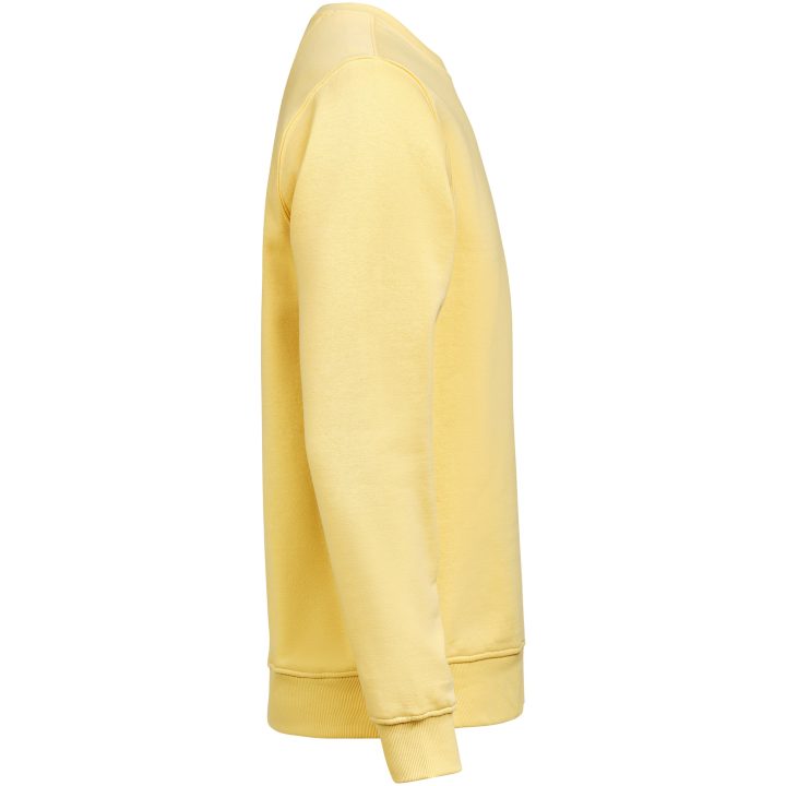 Sweatshirt Crewneck Regular Fit Ray Untagged Movement – billede 3