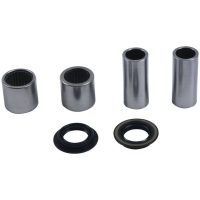 Swing Arm Bearing Kit All Balls