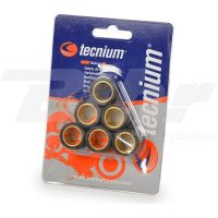 TECNIUM Variator Rollers Set 25x22,2mm 20gr - pieces