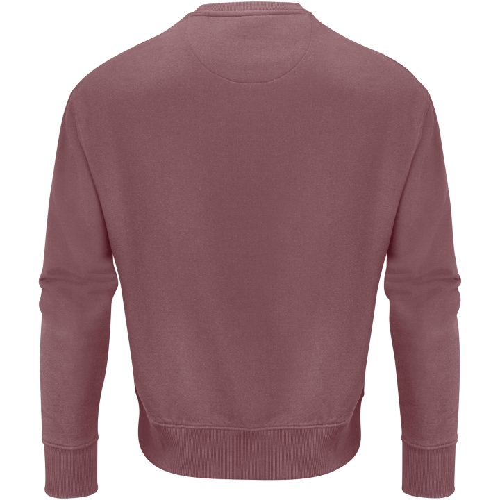 Tröja Hopedale Crewneck Dammröd James Harvest – billede 3