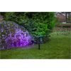 Udendørsdekoration Outdoor Spotlight Fixture Sort Star Trading – miniature 3