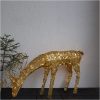 Udendørsdekoration Sequini Guld Star Trading – miniature 5