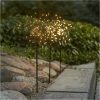Utomhusdekoration Firework Outdoor Svart Star Trading – miniature 3