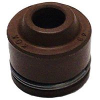 Valve Stem Seal
