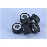 Variator Rollers 20x12mm 8gr - Set of 6 POLINI