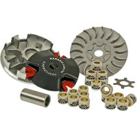Variator Standard Naraku