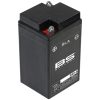 Vedligeholdelsesfrit batteri fabriksaktiveret BS BATTERY B49-6 – miniature 3