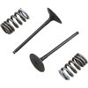 Ventil Indsugning STÅL Prox INTAKE VALVE/SPRING KIT – miniature 1